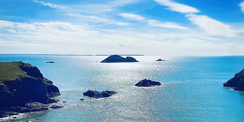 The Green Monster (Solva Swim) 