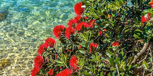 Members Meeting - Guest Speaker