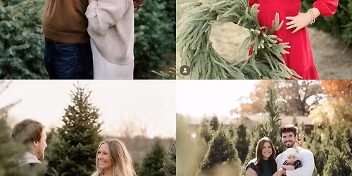 Christmas Tree Minis @ Froberg Farms