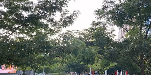 FIFA World Cup 2026\u2122 - France vs. Senegal