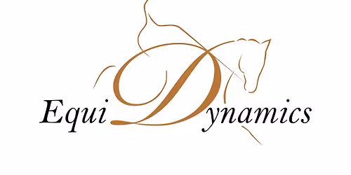 Horse & Rider Alignment Clinic