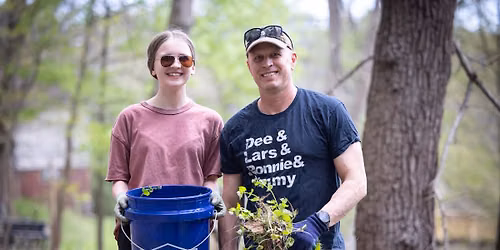 Volunteer: Habitat Restoration