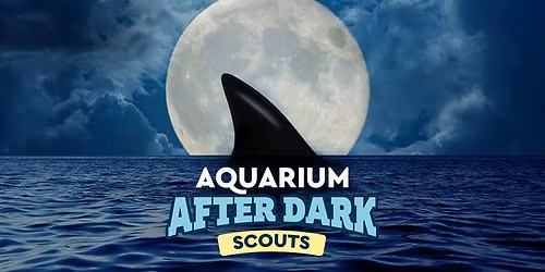 Scouts Aquarium After Dark