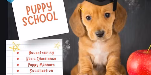 FREE PUPPY TRAINING CLASS