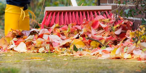 Herbstschnitt - wie und bei welchen Pflanzen?