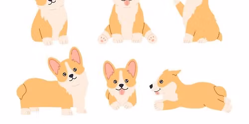 May Indoor Corgi Meet Up at Stylin Paws Play Place