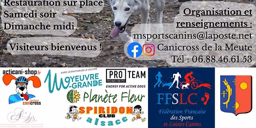 Canicross de la Meute - Moyeuvre-Grande