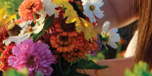 Sunshine Blooms & Dinner