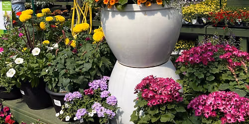 Sketching in full bloom at the Nursery