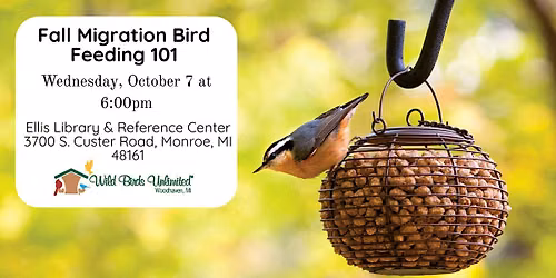 Fall Migration Bird Feeding 101