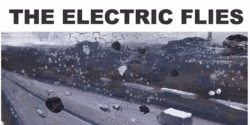 Sant'Apollinare con The Electric Flies!