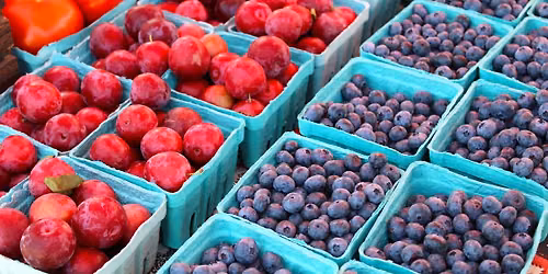 Market Day!