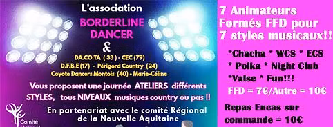 Stage Pour DANSEURS , par 7 Animateurs + Technique Style