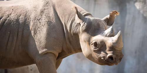 Father's Day \u2013 All Dads Get Free Zoo Admission!