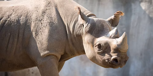 Father's Day \u2013 All Dads Get Free Zoo Admission!