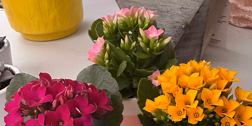Mothers Day free gift to give to Mom
