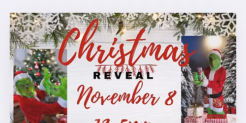 Christmas Reveal