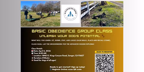 Basic Obedience Group Class