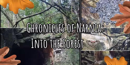 Chronicles of Narnia: Into the Forest