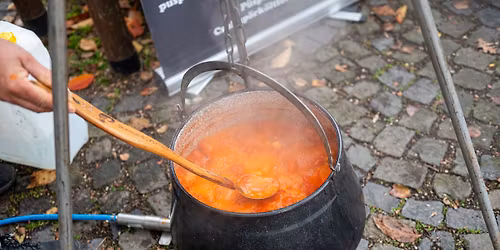 XXIII. Gard\u00e1lia - 23rd Gard\u00e1lia