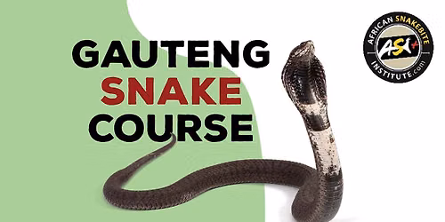 Snake Awareness First aid for Snakebite, Venomous Snake Handling