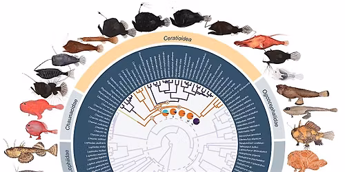 The Genome Time Machine