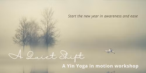 A Quiet Shift: A Yin Yoga-in-motion workshop