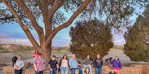 LBK Dogs: Saturday Pack Walk