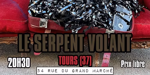 [11\/04] HOTEL PARASITE + PUNTSCH! @ LE SERPENT VOLANT - TOURS