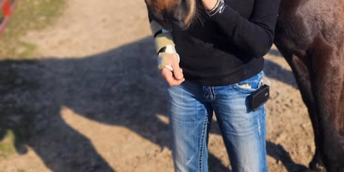 \u2728\ud83d\udc34 STOP GUESSING. START CONNECTING. \u2728\ud83d\udc34 with KAREN WITHSTANDLEY OF THE REFINED EQUINE