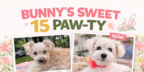 Bunny's Sweet 15 Paw-ty