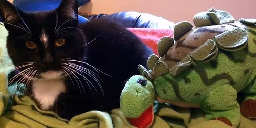 Mosel\u00f8b - UDSOLGT