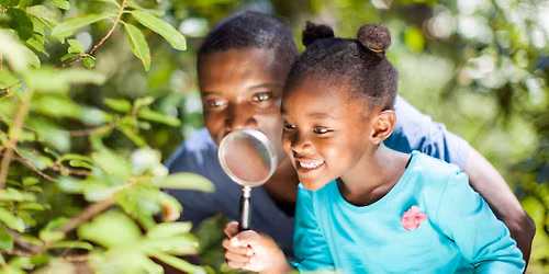 Cultivating Curiosity - FREE Drop-In Program