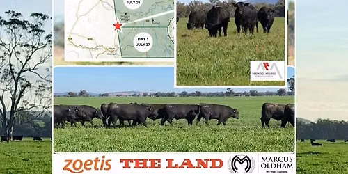 The Land Southern Beef Week Open Days