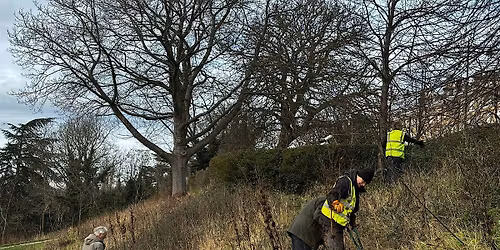 The Conservation Volunteers  - Terrace Fields Vegetation Management