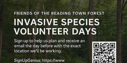 Invasive Species Volunteer Days