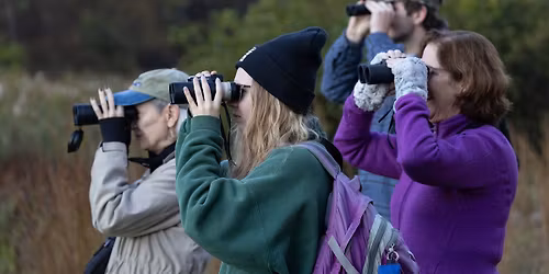 Christmas Bird Count