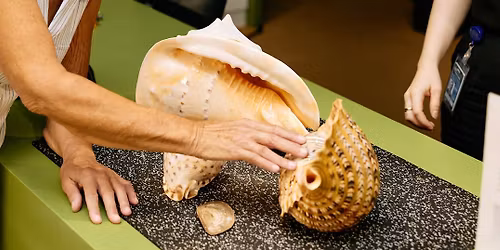 Discovery Centre Sensory Tour