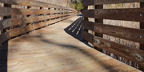 Wandering Refuge Ambassador