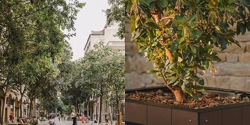 Tecnolog\u00eda y ciudad: innovaci\u00f3n urbana