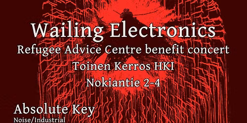 Wailing Electronics - Refugee Advice Centre benefit concert