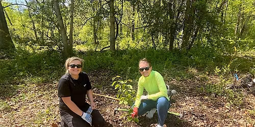 FOPOS Land Stewardship Volunteer Session \/\/ Wednesday, July 22nd