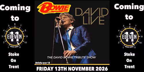 David Live the David Bowie tribute show live at Eleven Stoke