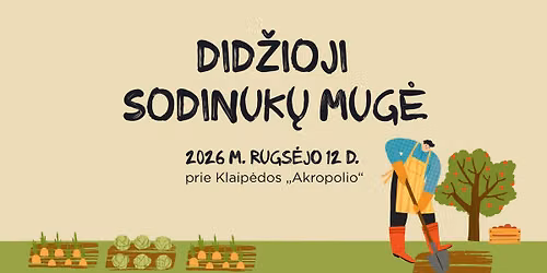 Did\u017eioji sodinuk\u0173 mug\u0117 Klaip\u0117doje (2026 ruduo)
