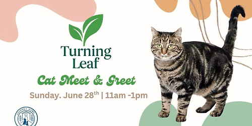 Cat Meet & Greet at Turning Leaf