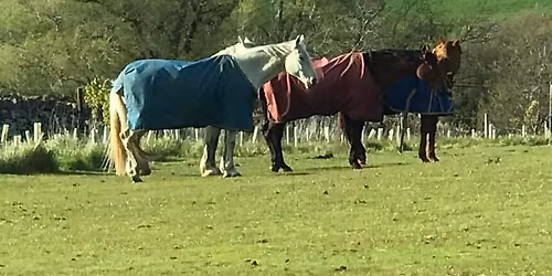 Area 7 Horse Trials Qualifier