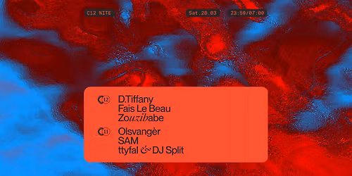 C12 Nite w\/ D.Tiffany, Olsvang\u00e8r, Zouzibabe, Fais Le Beau and more