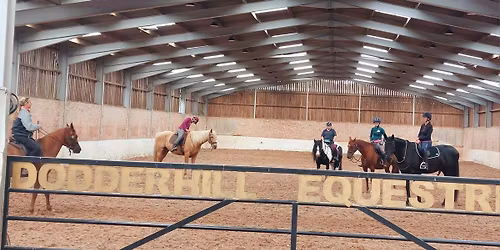 Parelli Level 1 course with Rachel Shawyner