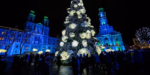 Kauno Kal\u0117d\u0173 eglut\u0117s \u012f\u017eiebimas Rotu\u0161\u0117s aik\u0161t\u0117je!