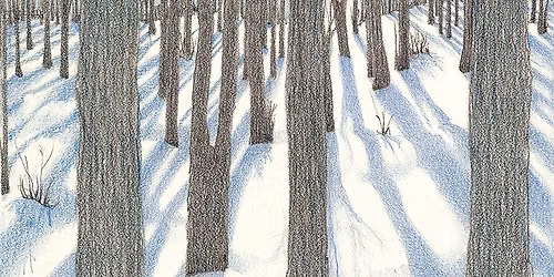 Bear Talks with Artist, Barbara Stone